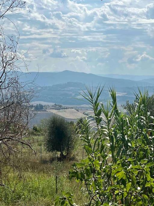 Windrose Blue Blossom Volterra Bagian luar foto