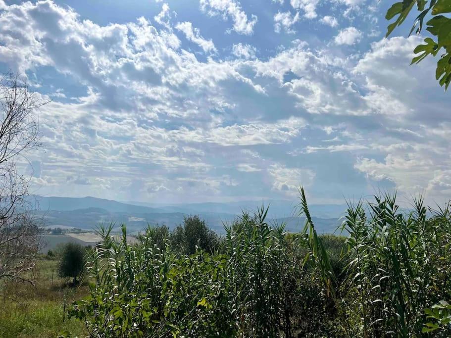 Windrose Blue Blossom Volterra Bagian luar foto