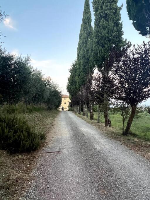 Windrose Blue Blossom Volterra Bagian luar foto